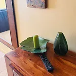 Manoir Saint-vincent Cahuzac-sur-Vère