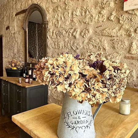 Manoir Saint-vincent Bed & Breakfast Cahuzac-sur-Vere
