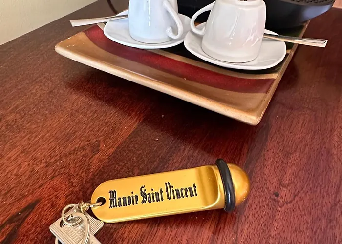 Manoir Saint-vincent 3* Cahuzac-sur-Vère